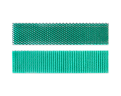 Biological Anti-Bacteria Filter
